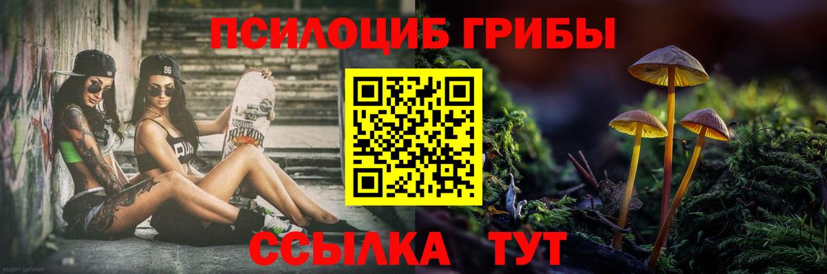 Псилоцибиновые грибы MAGIC MUSHROOMS Абакан